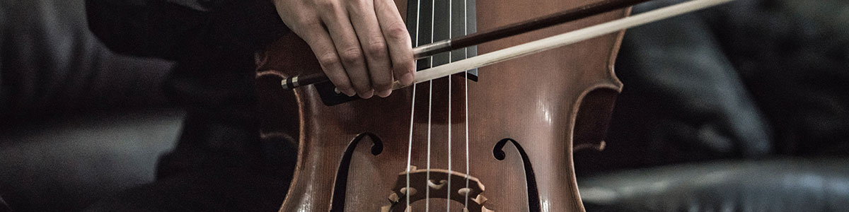 Le violoncelle